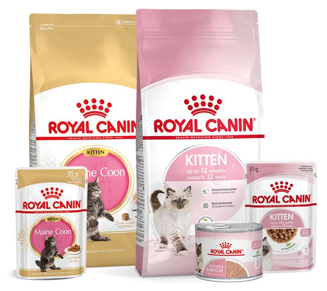 Packshot produits pour chatons en couleur sur fond blanc