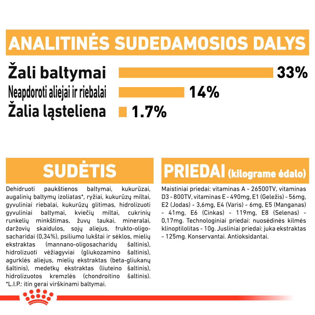 Labrador Retriever Puppy
