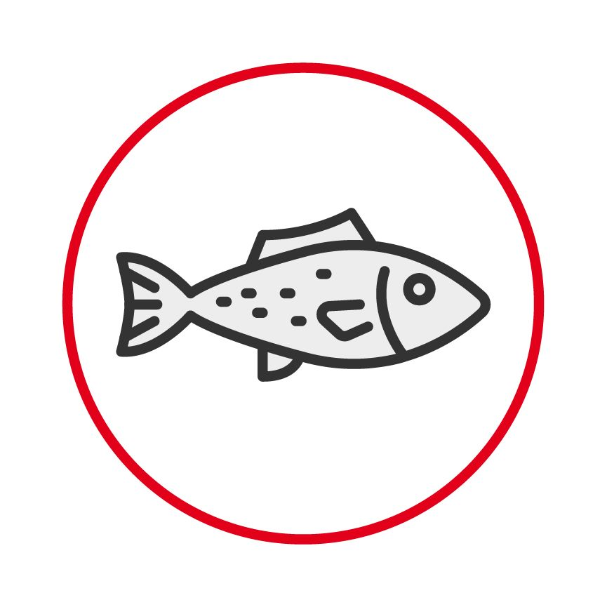 Illustration of a fish