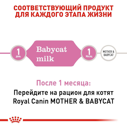 babycatmilk-EretailKit_2-RU.jpg