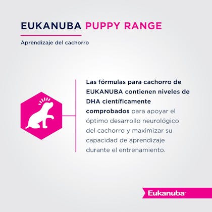 Eukanuba Puppy Small Breed - Cachorro Talla Pequeña