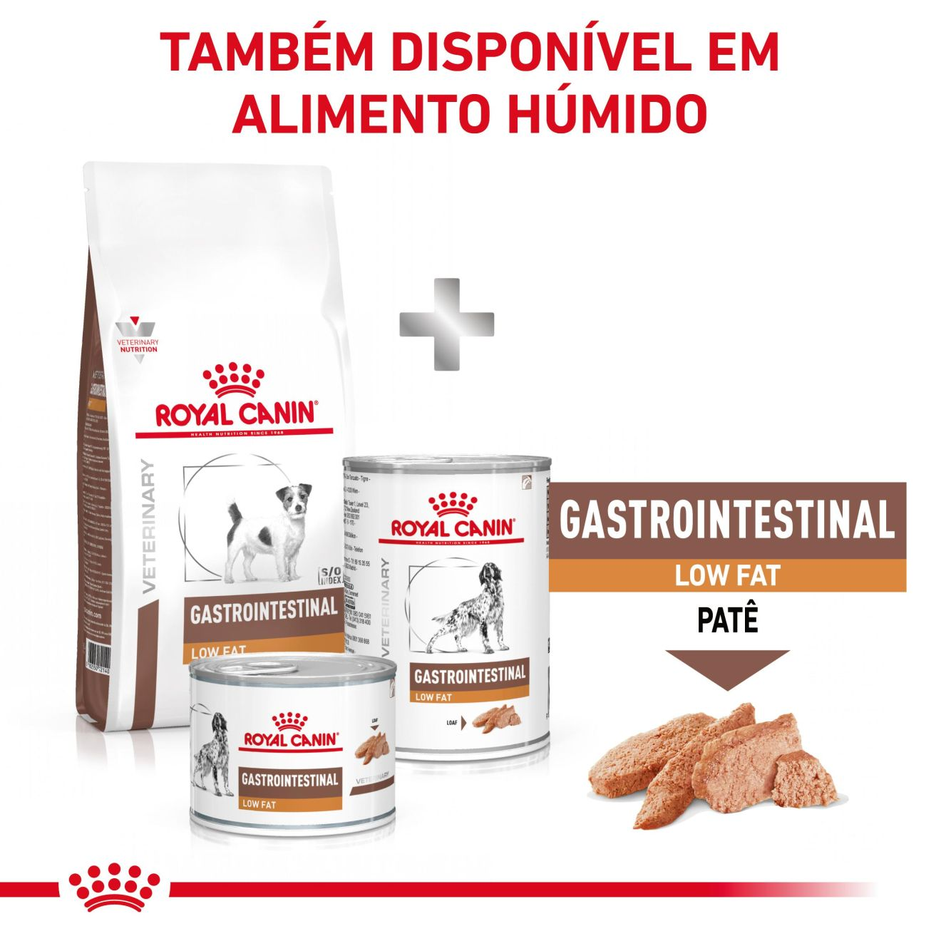 Gastrointestinal Low Fat Small Dog