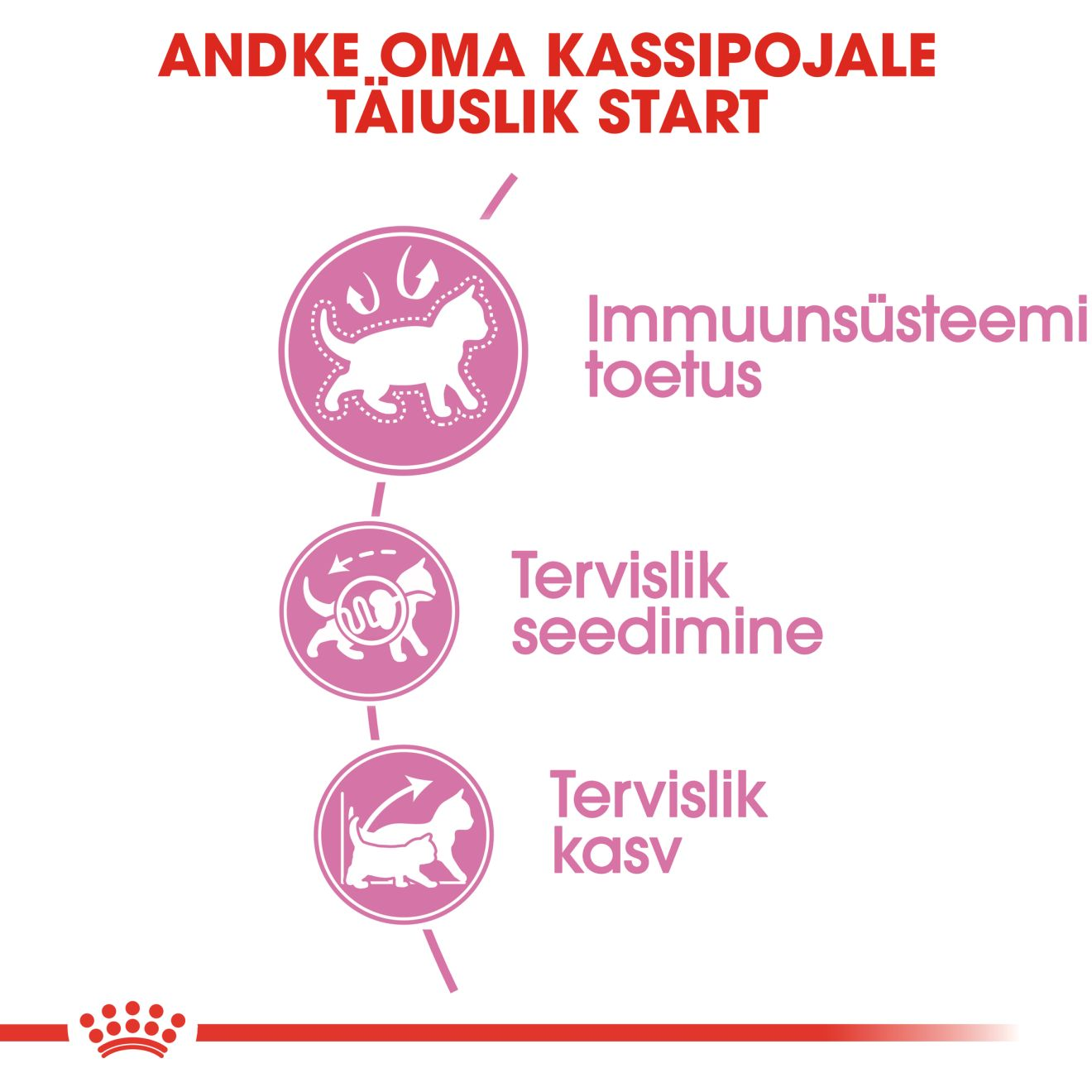 Royal Canin Kitten kuivtoit