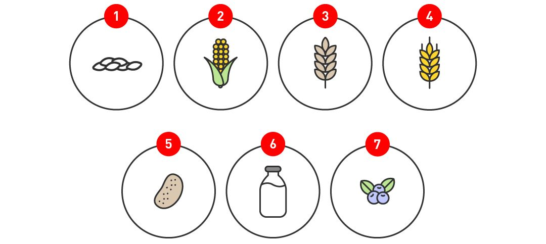 7 illustrations showing the sources of carbohydrates