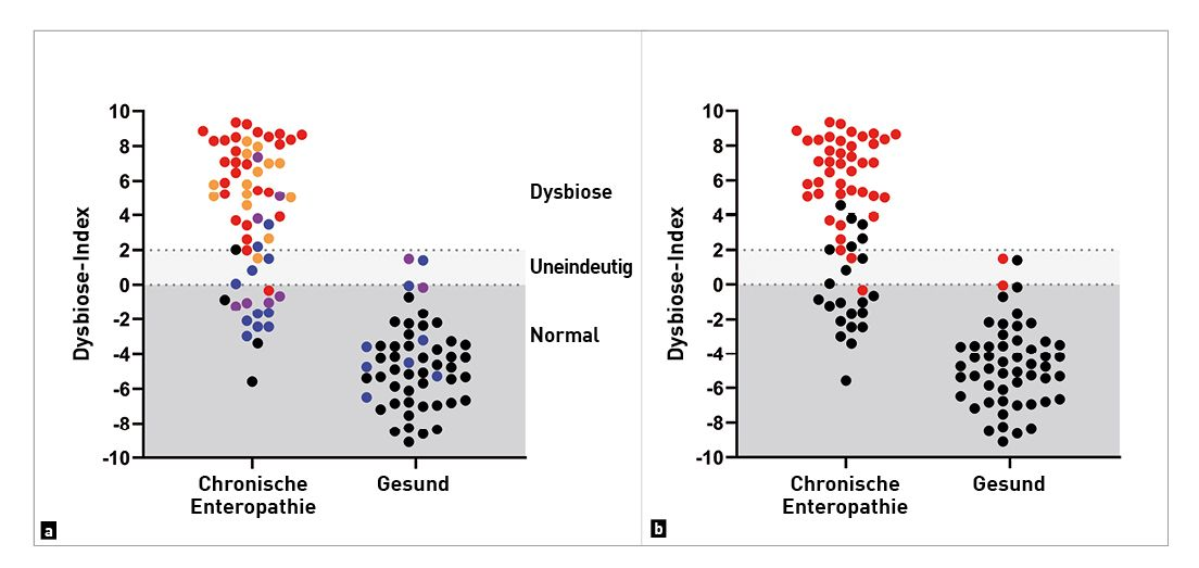 Die Grafik zeigt die Unterschiede im Dysbiose-Index (DI) in einer Kohorte von Hunden mit chronischer Enteropathie im Vergleich zu gesunden Hunden 