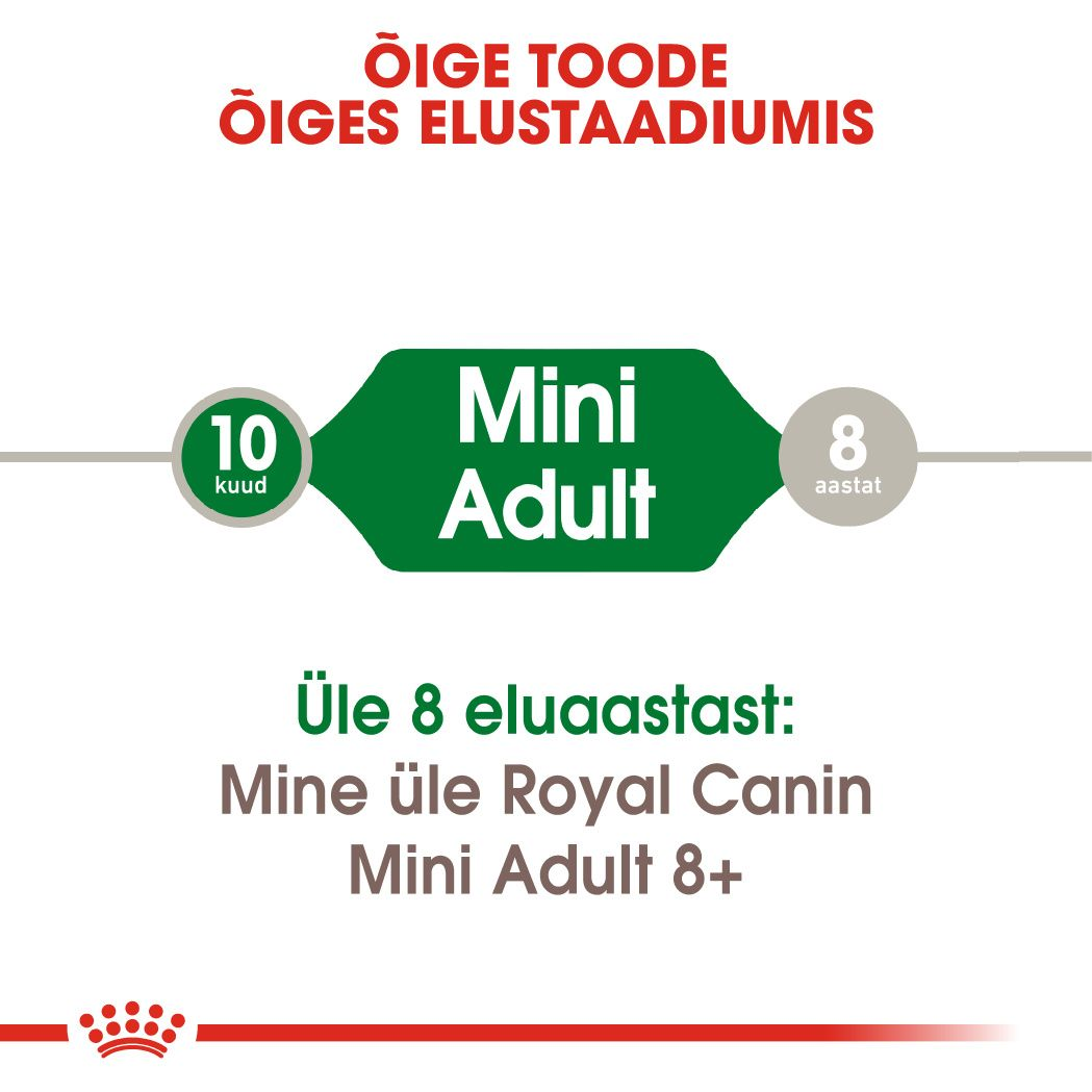 Royal Canin Mini Adult kuivtoit