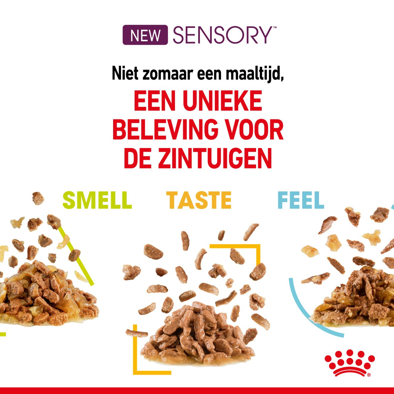 Sensory Feel in Gravy (brokjes in saus)