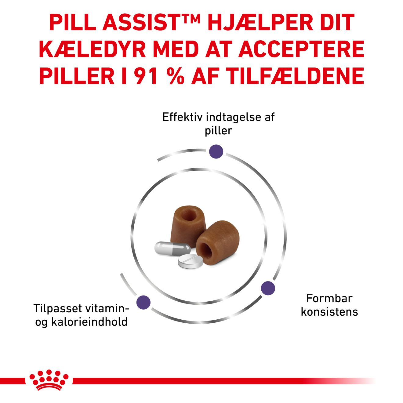 Pill Assist Cat