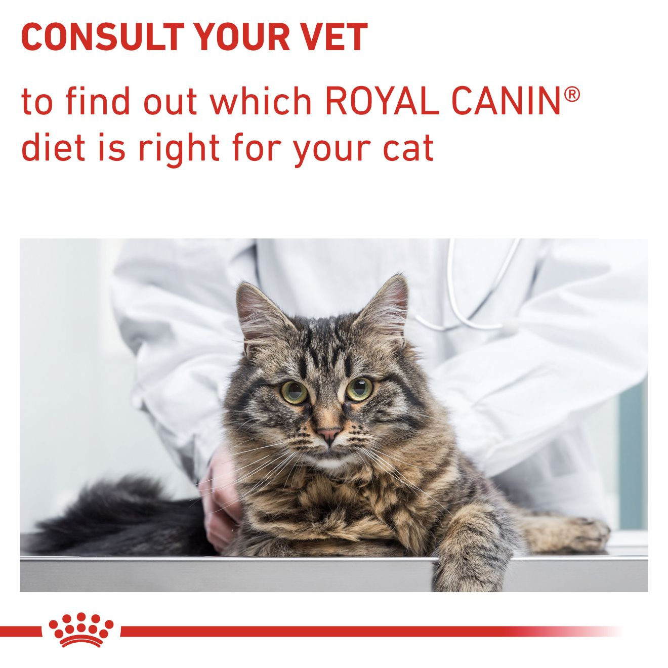 Royal canin feline outlet senior consult stage 2