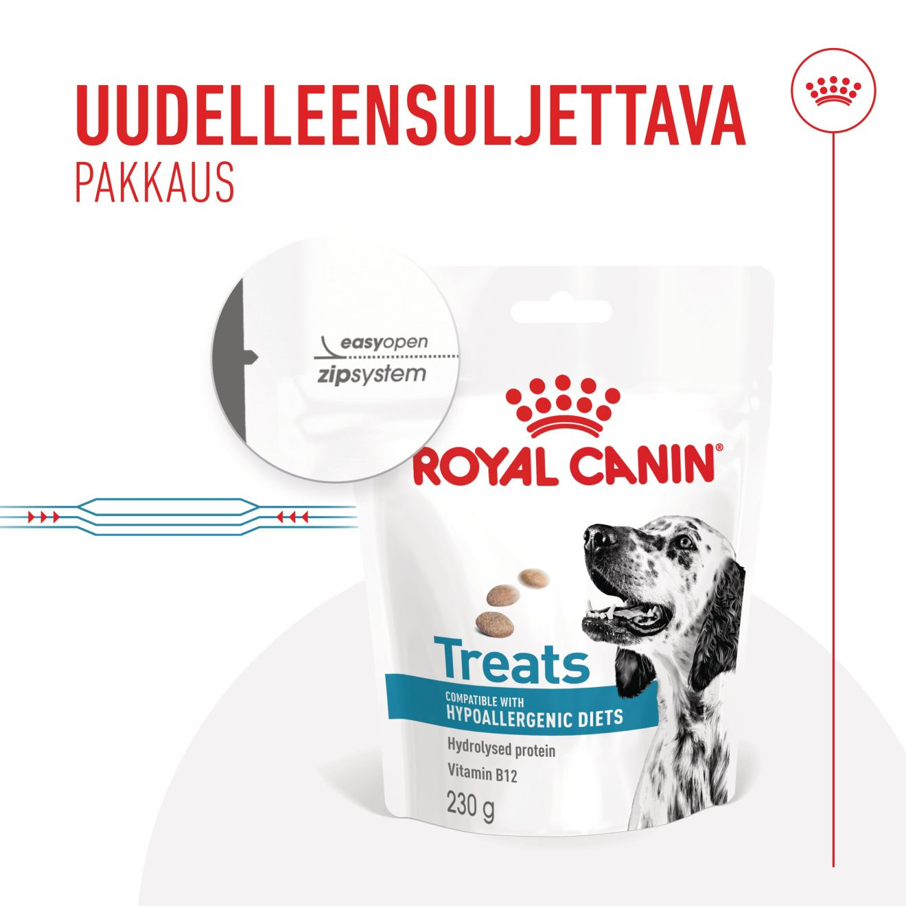 Hypoallergenic Treats