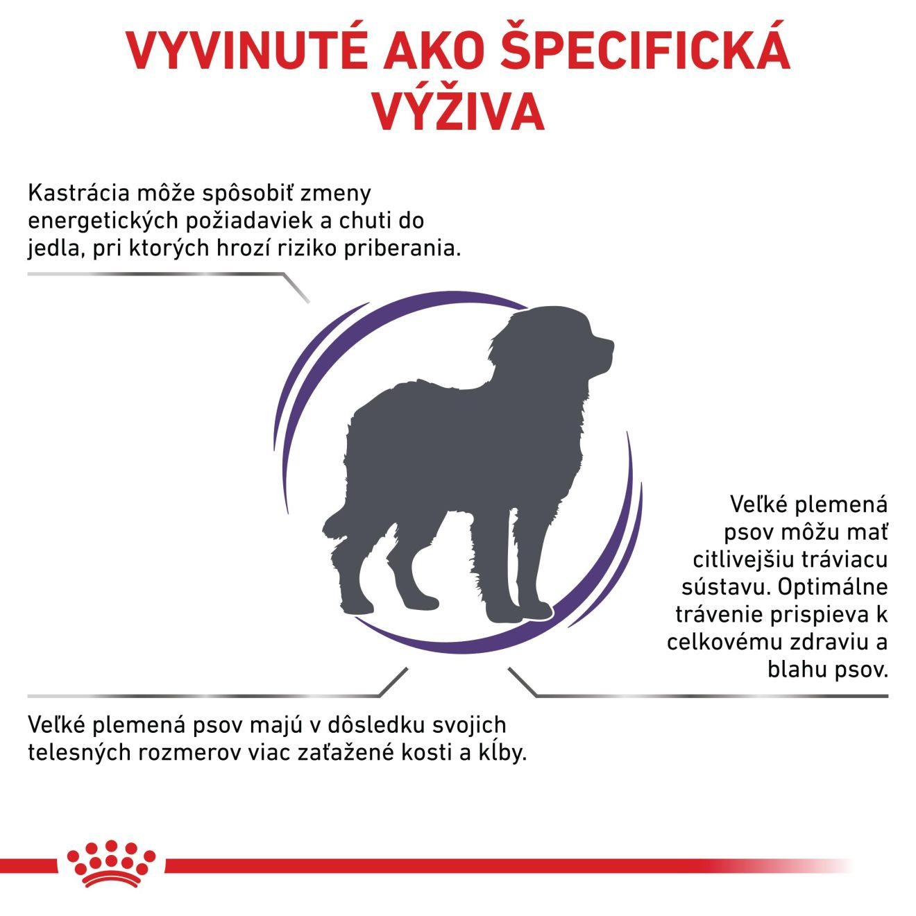 VHN Neutered Adult large dog