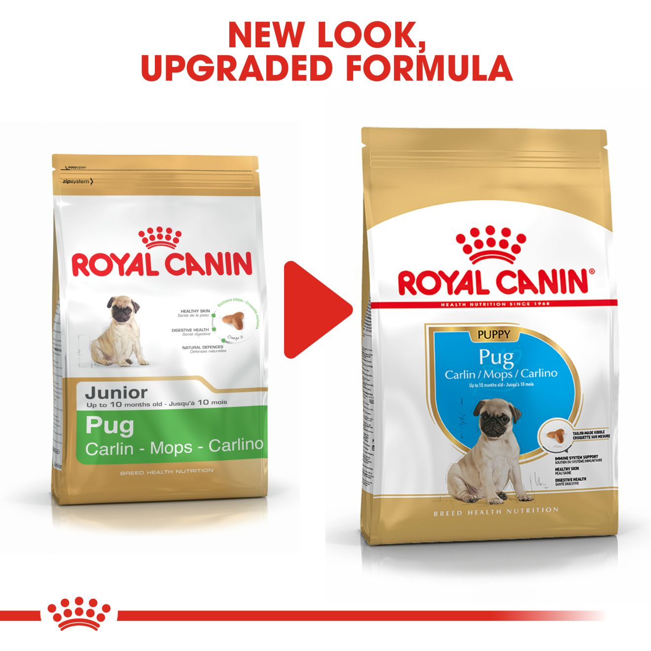 royal canin pug dry dog food