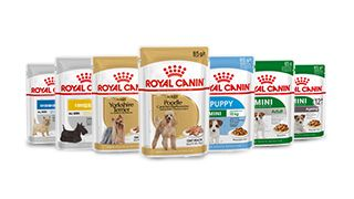 Dog wet range pack shot