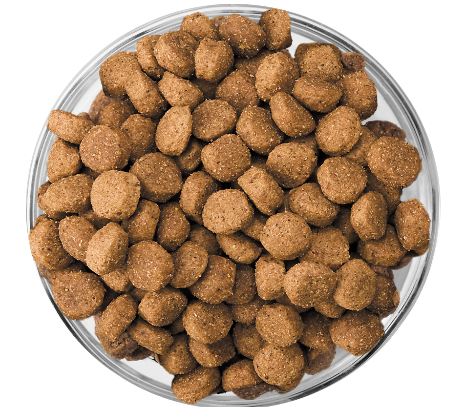 Eukanuba™ PUPPY - LAMB 1ST INGREDIENT