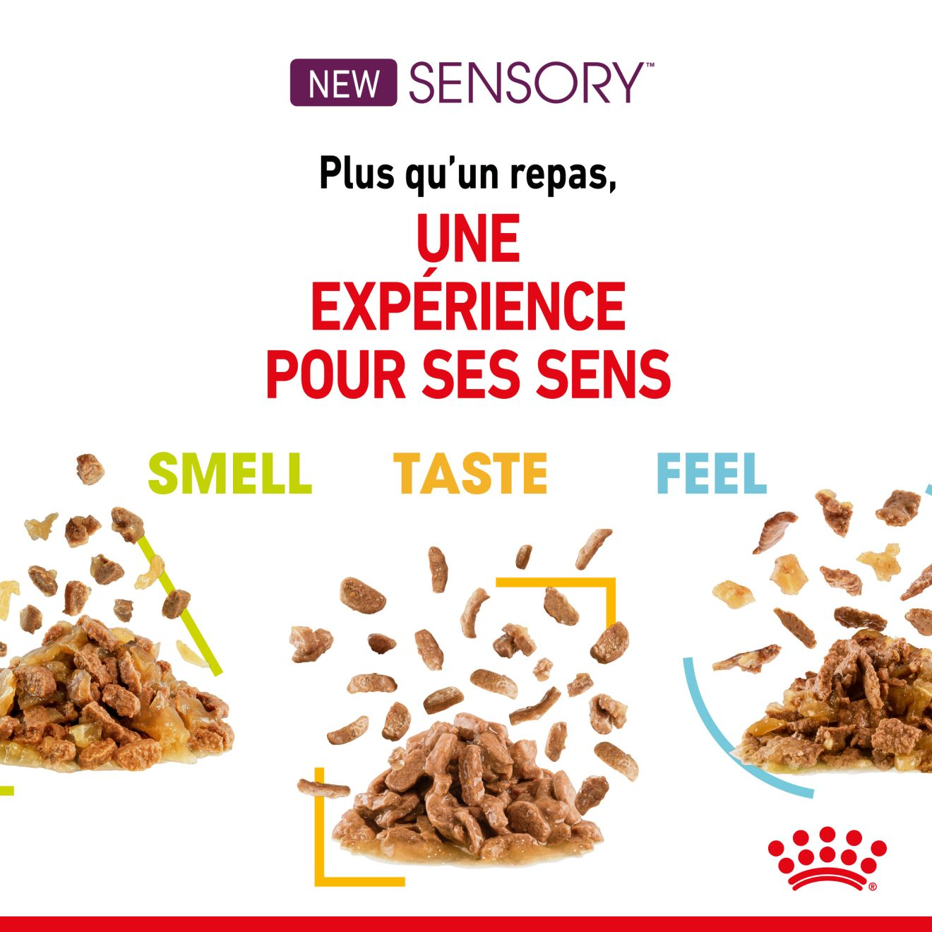 SENSORY™ TASTE en gelée