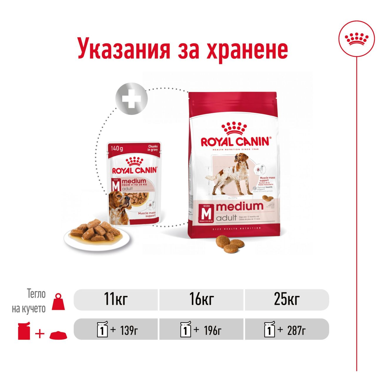 MEDIUM ADULT - CHUNKS IN GRAVY