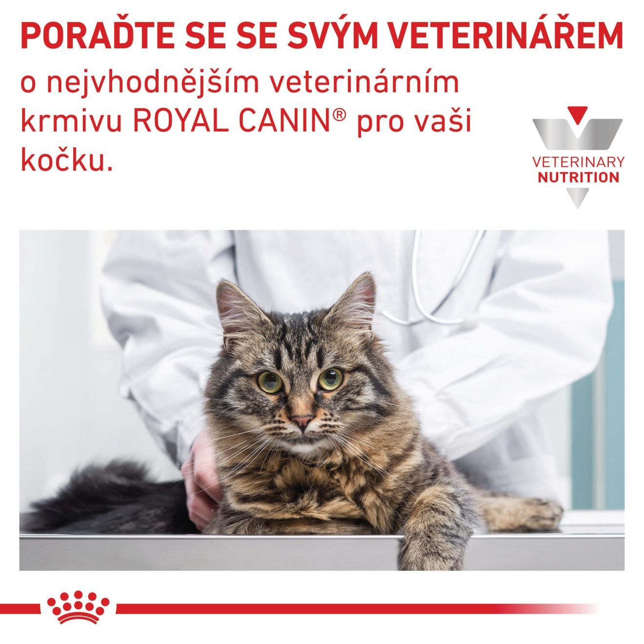 VHN Cat Sensitivity Control Chicken Gravy Kapsičky