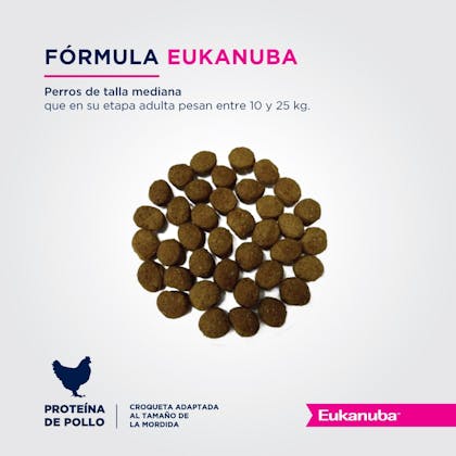 Eukanuba Puppy Medium Breed - Cachorro Talla Mediana