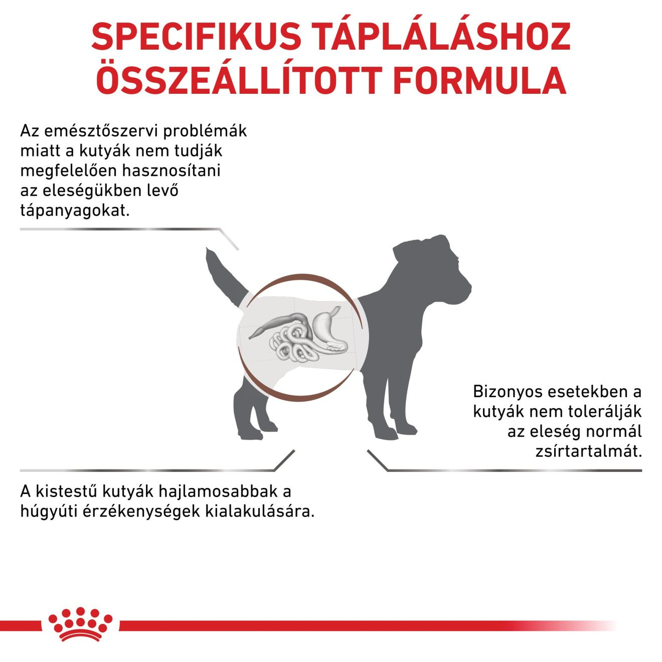 Gastrointestinal Low Fat Small Dog