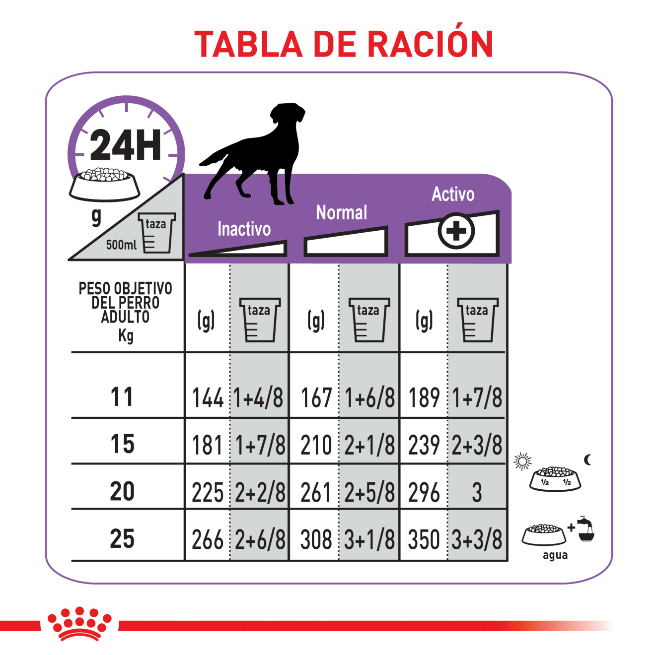 Perro Mediano Esterilizado