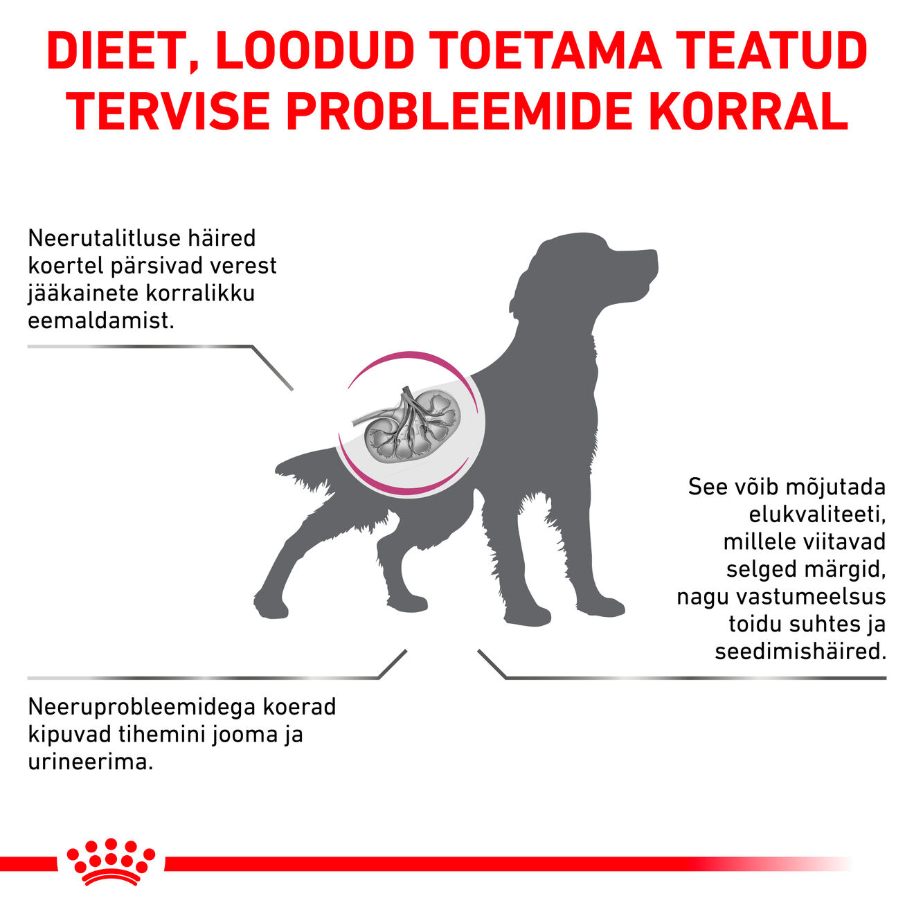 Royal Canin Renal Select Dog kuivtoit