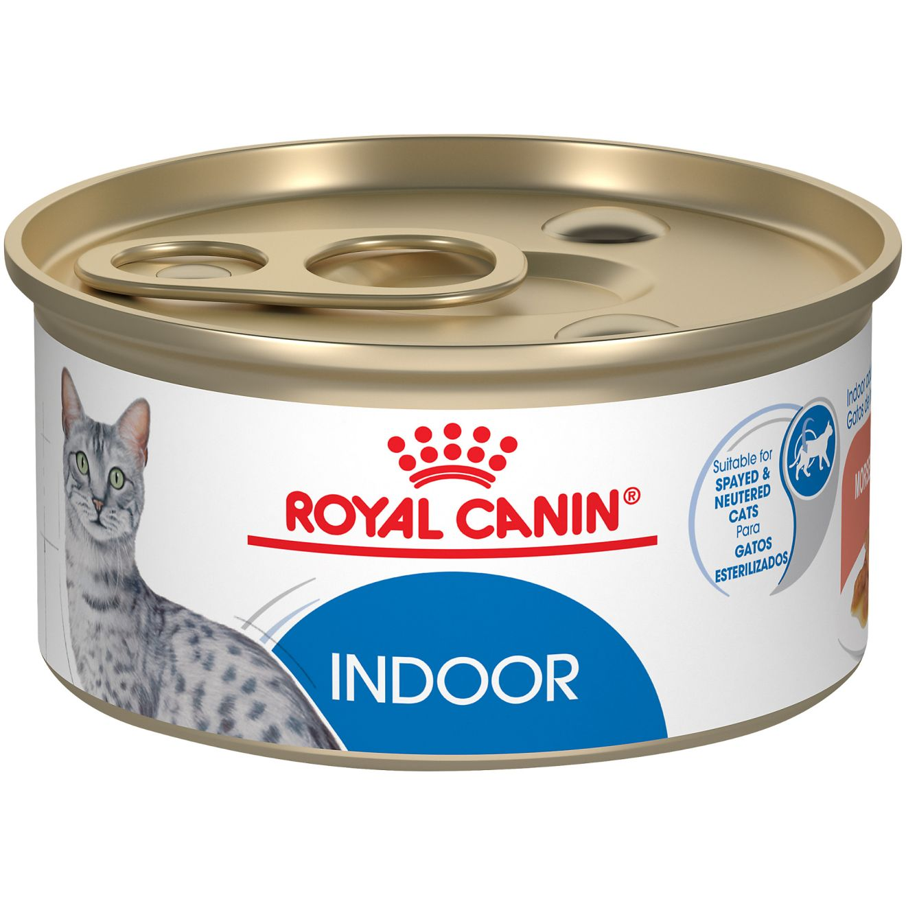 Cat food outlet with soft center