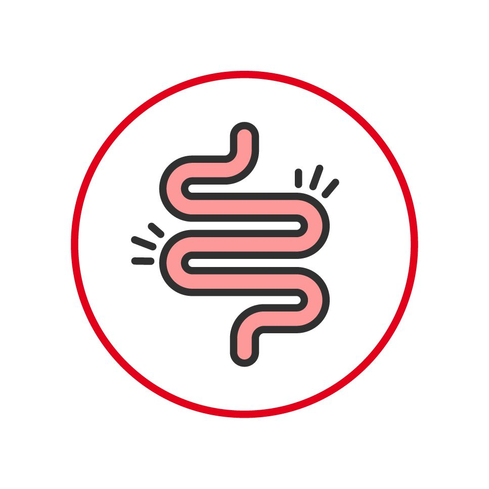 Illustration of intestines