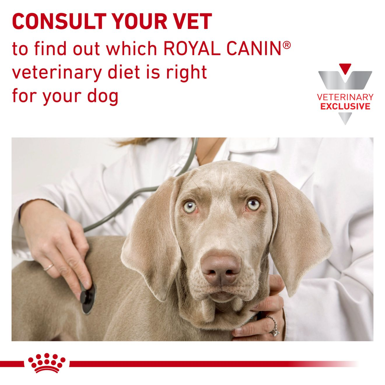 Canine Satiety® Support Weight Management