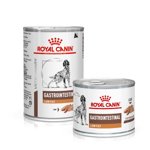 GASTROINTESTINAL LOW FAT Mousse | Royal Canin Shop