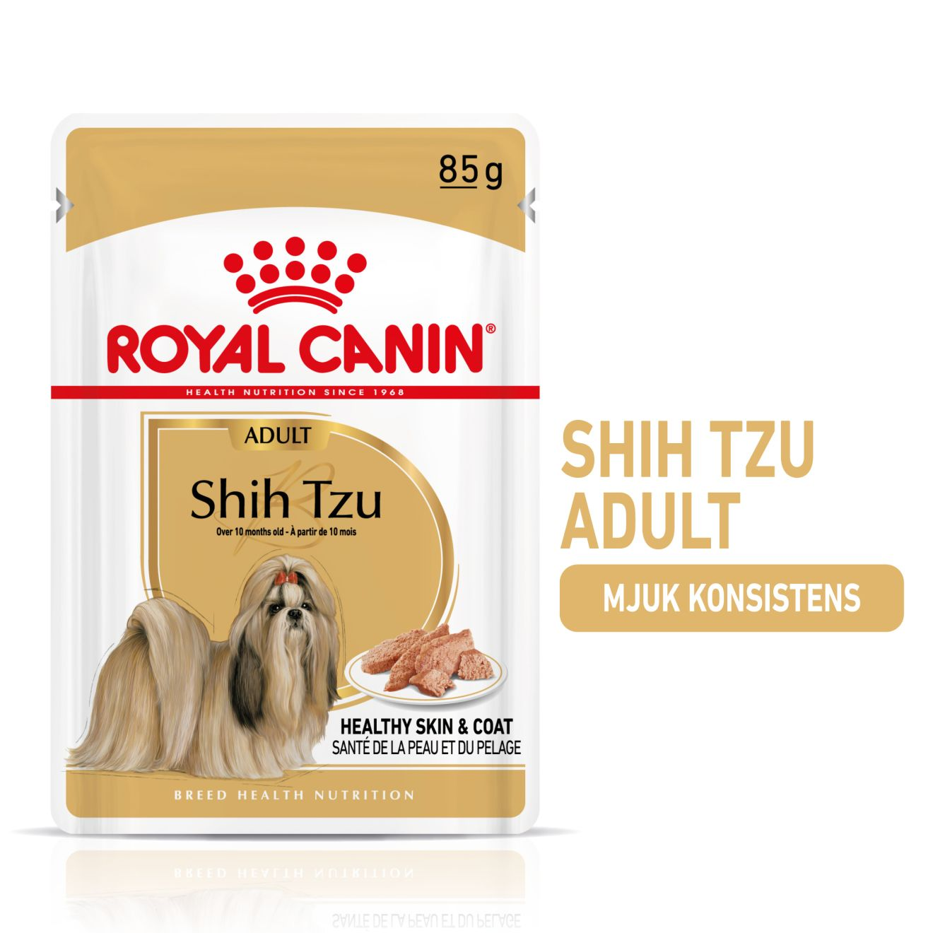 Shih Tzu