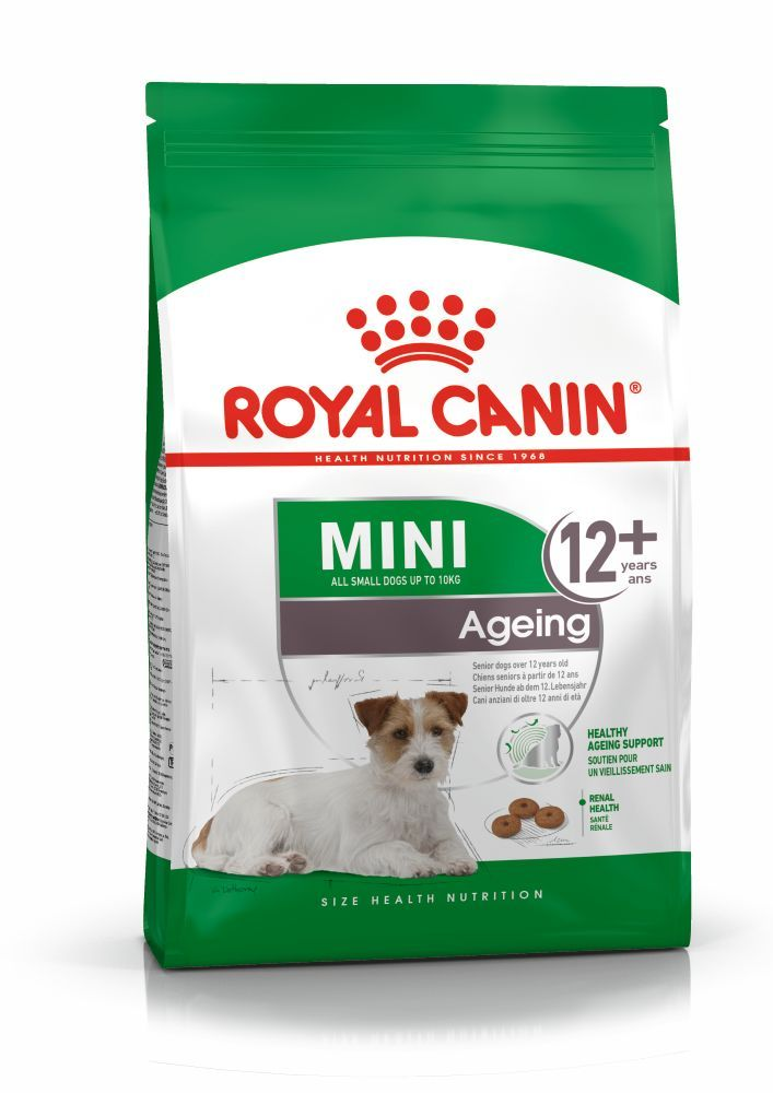 Paquet pour petits chiens âgés