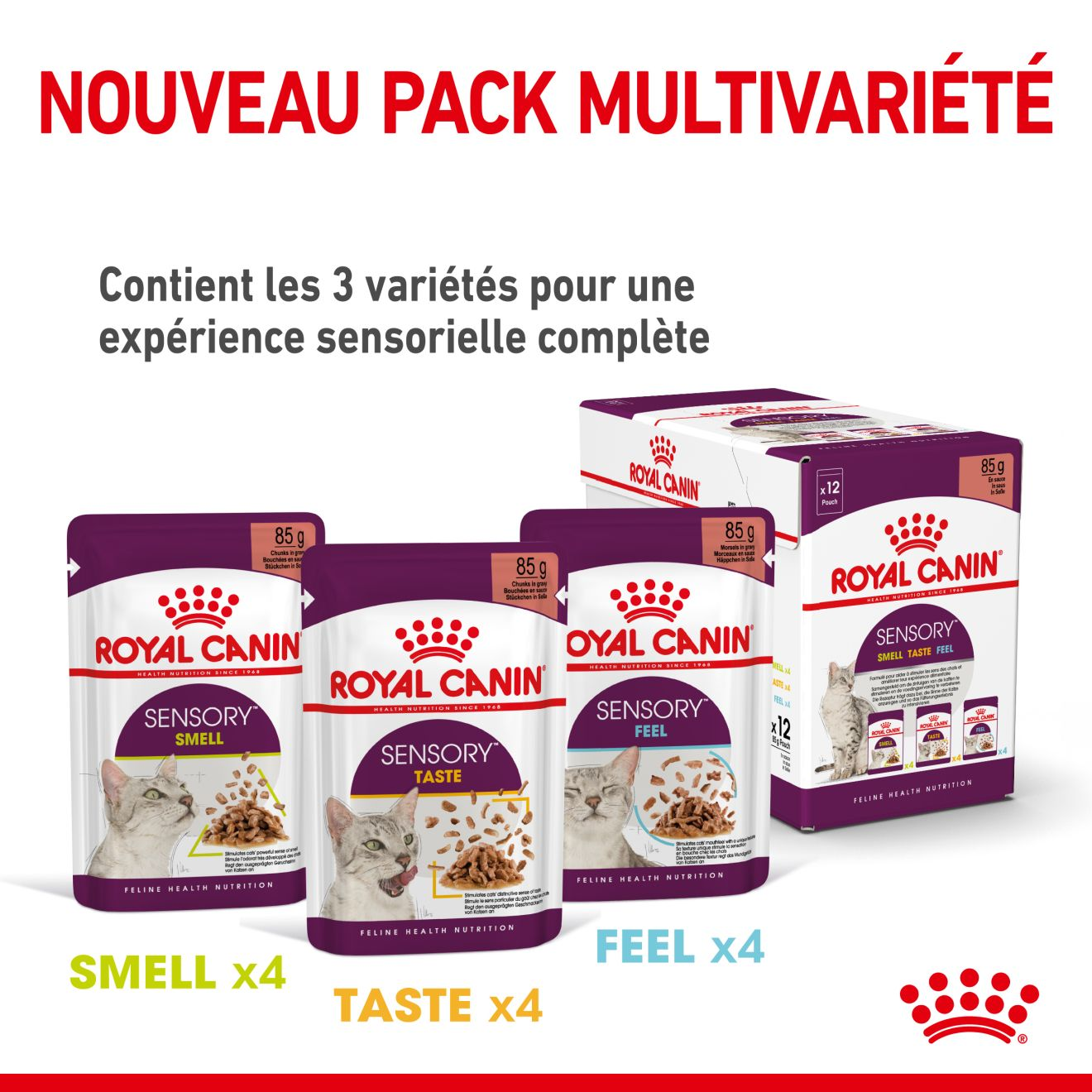 SENSORY™ TASTE en gelée