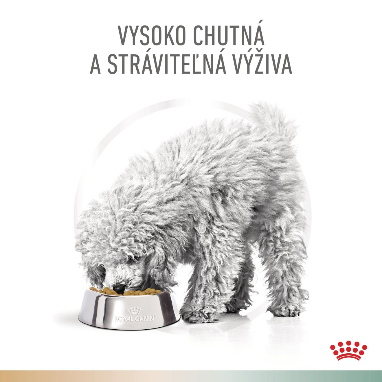 VHN Dog CA Urinary S/O - Satiety Small