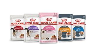 Feline wet range pack shot