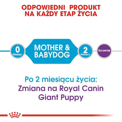 RC-SHN-Puppy-Giant Starter Mother & Babydog-CV1_018_POLAND-POLISH