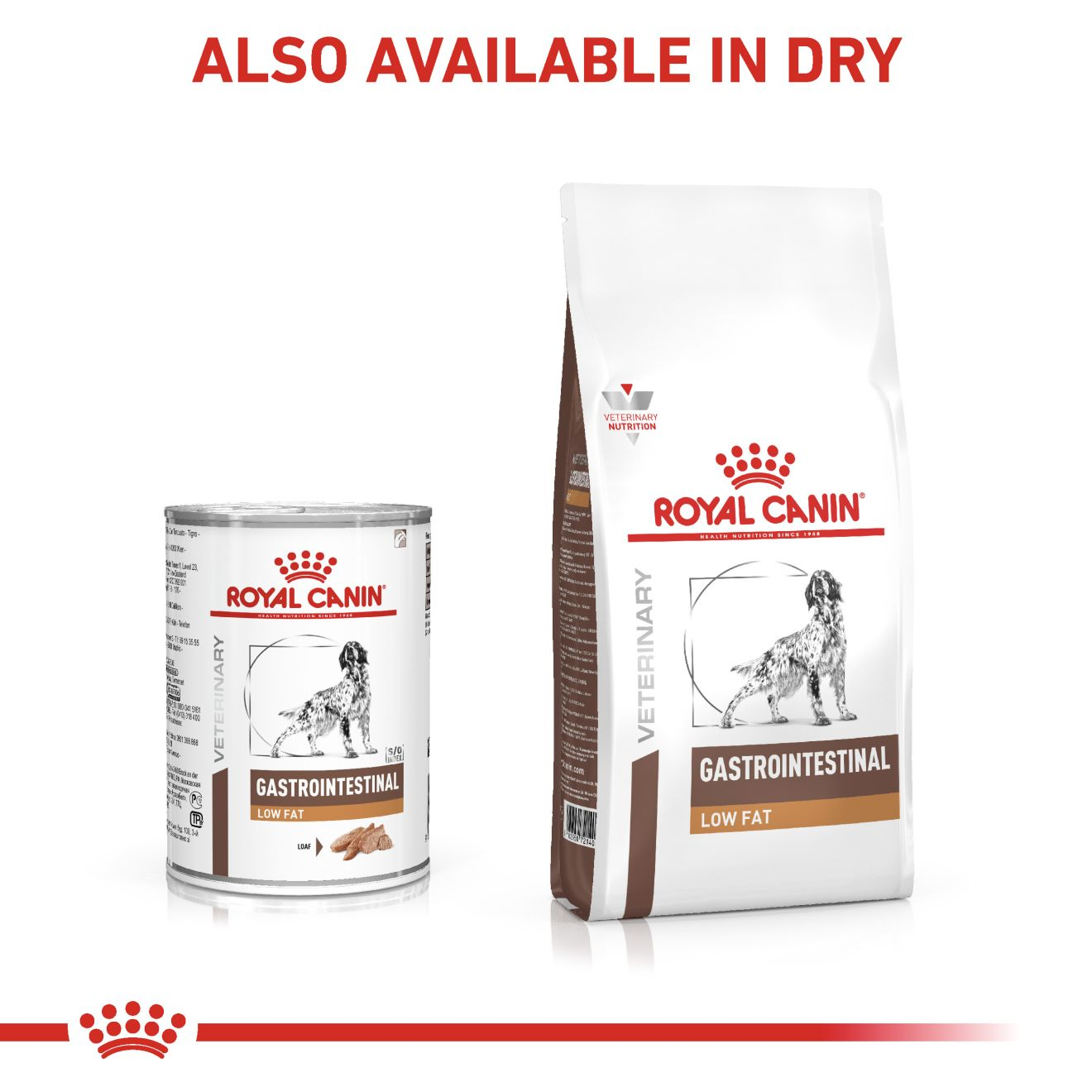 Royal canin gi low fat clearance cat