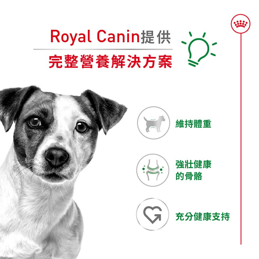 SHN 小型成犬營養配方