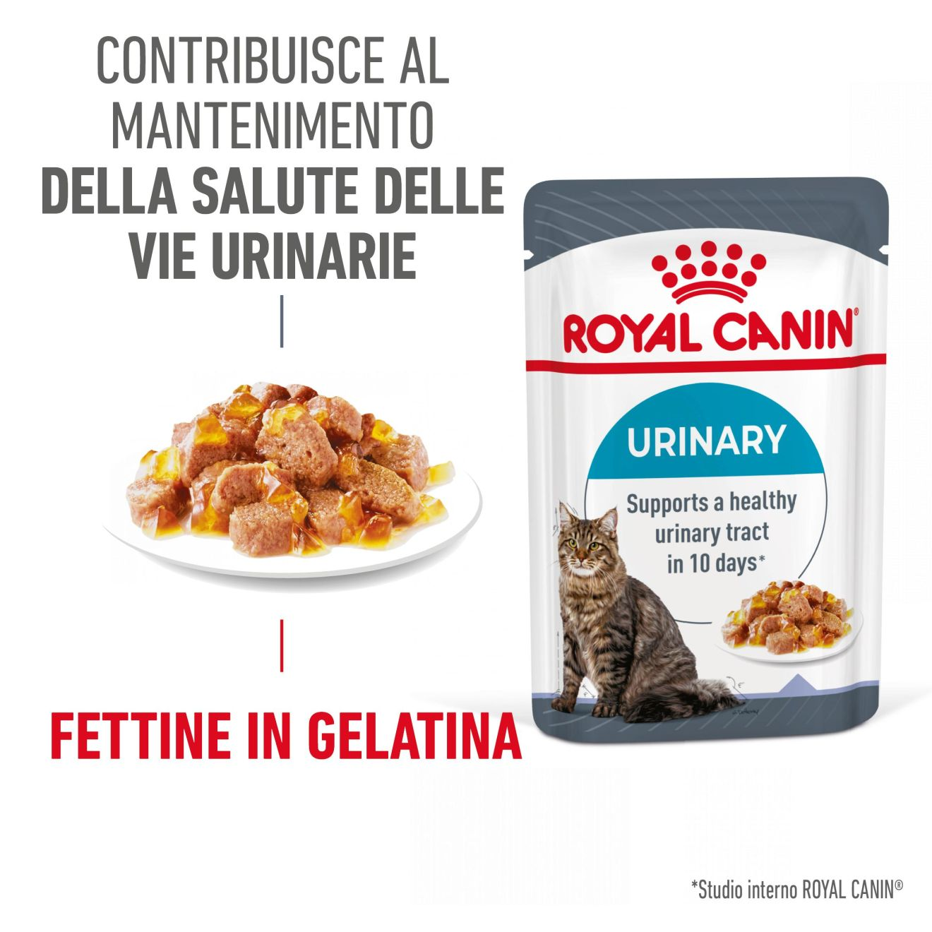 Urinary Care in gelatina