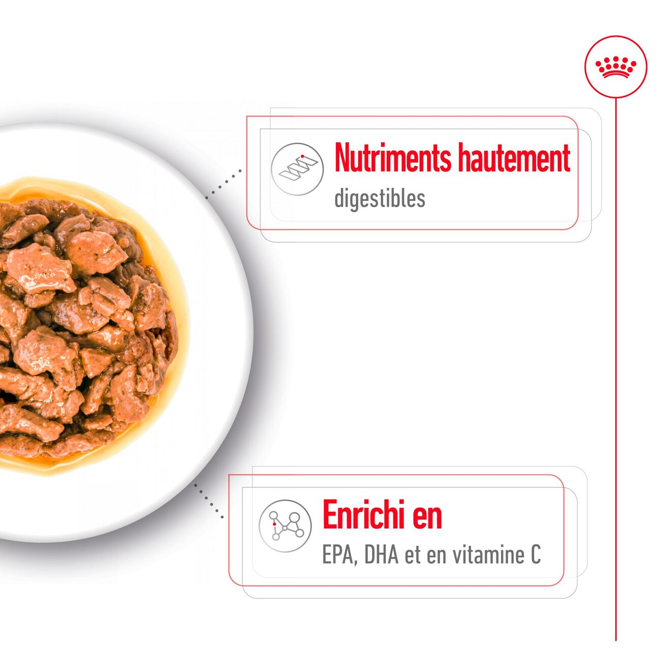 Xsmall Adult Gravy (émincés en sauce)