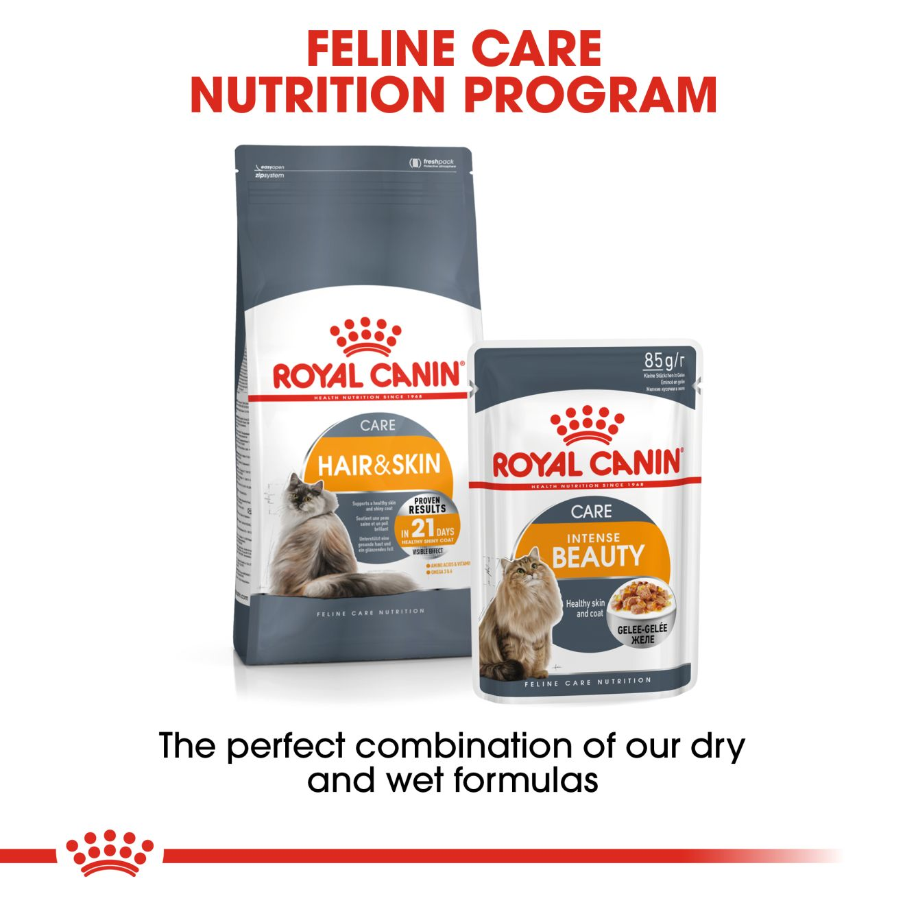 FCN Intense Beauty Care Adult Cat  (Jelly)