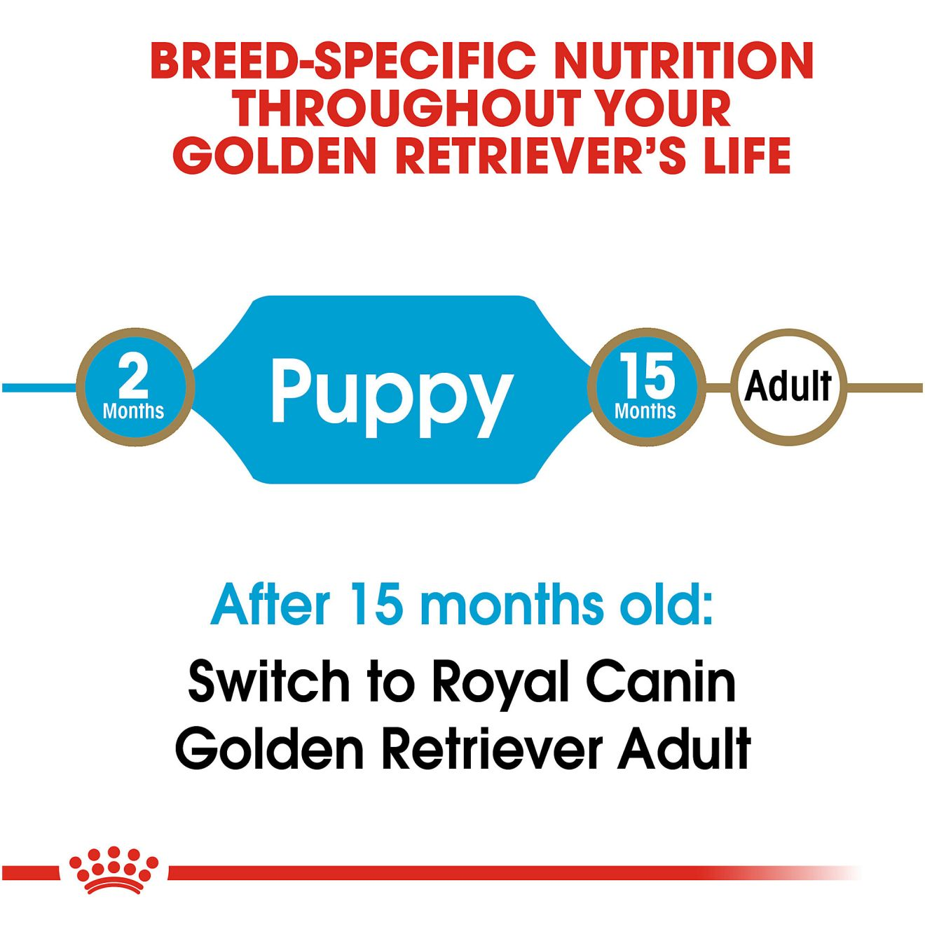 Royal canin best sale retriever junior