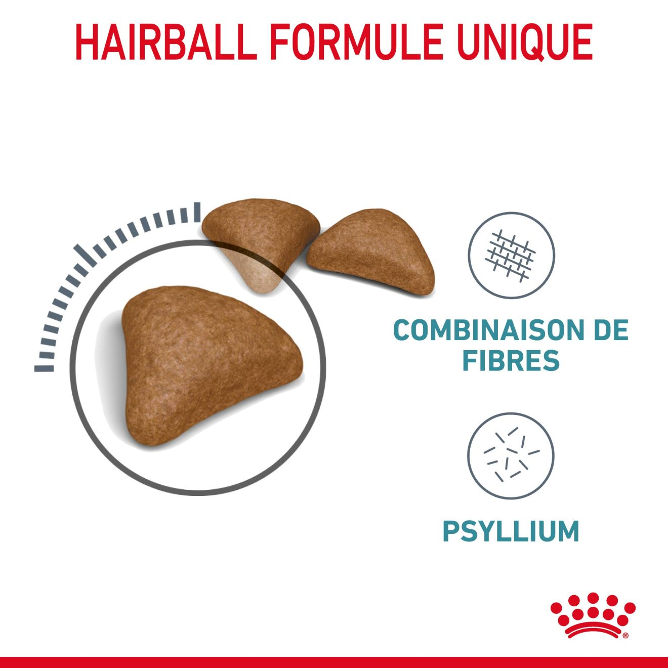 HAIRBALL CARE