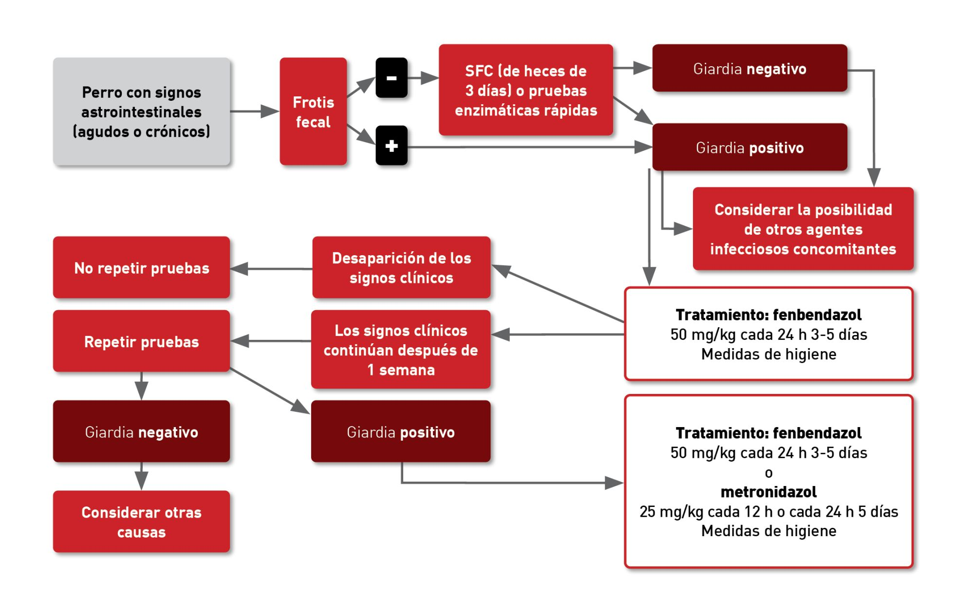 Diagrama de decisión para el diagnóstico y tratamiento de las infecciones de Giardia 