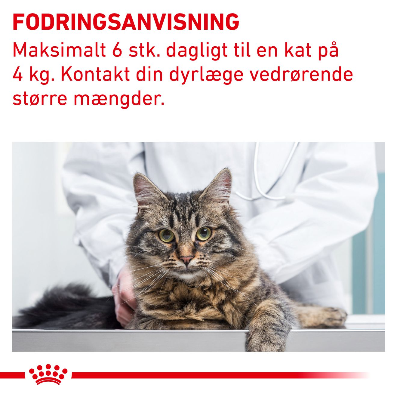 Pill Assist Cat