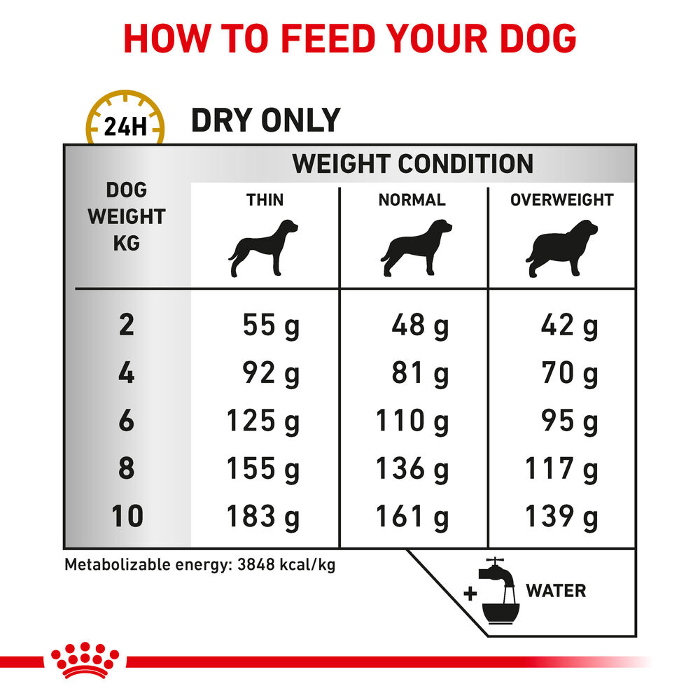 Royal canin urinary cane sale