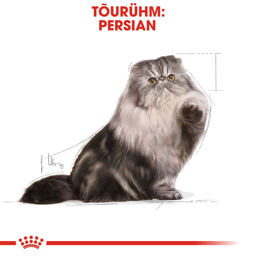 Royal Canin Persian konserv (pasteet)