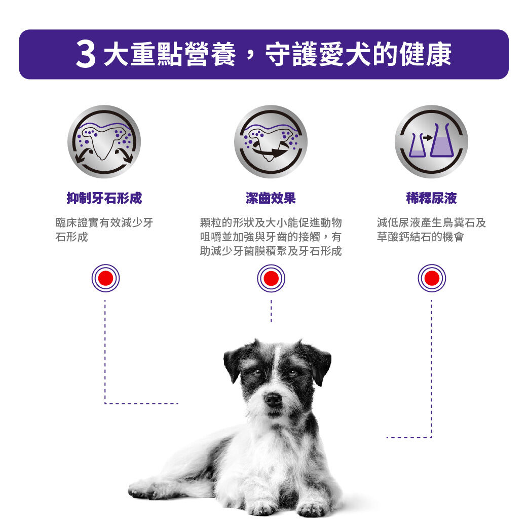 小型犬牙齒護理健康管理配方