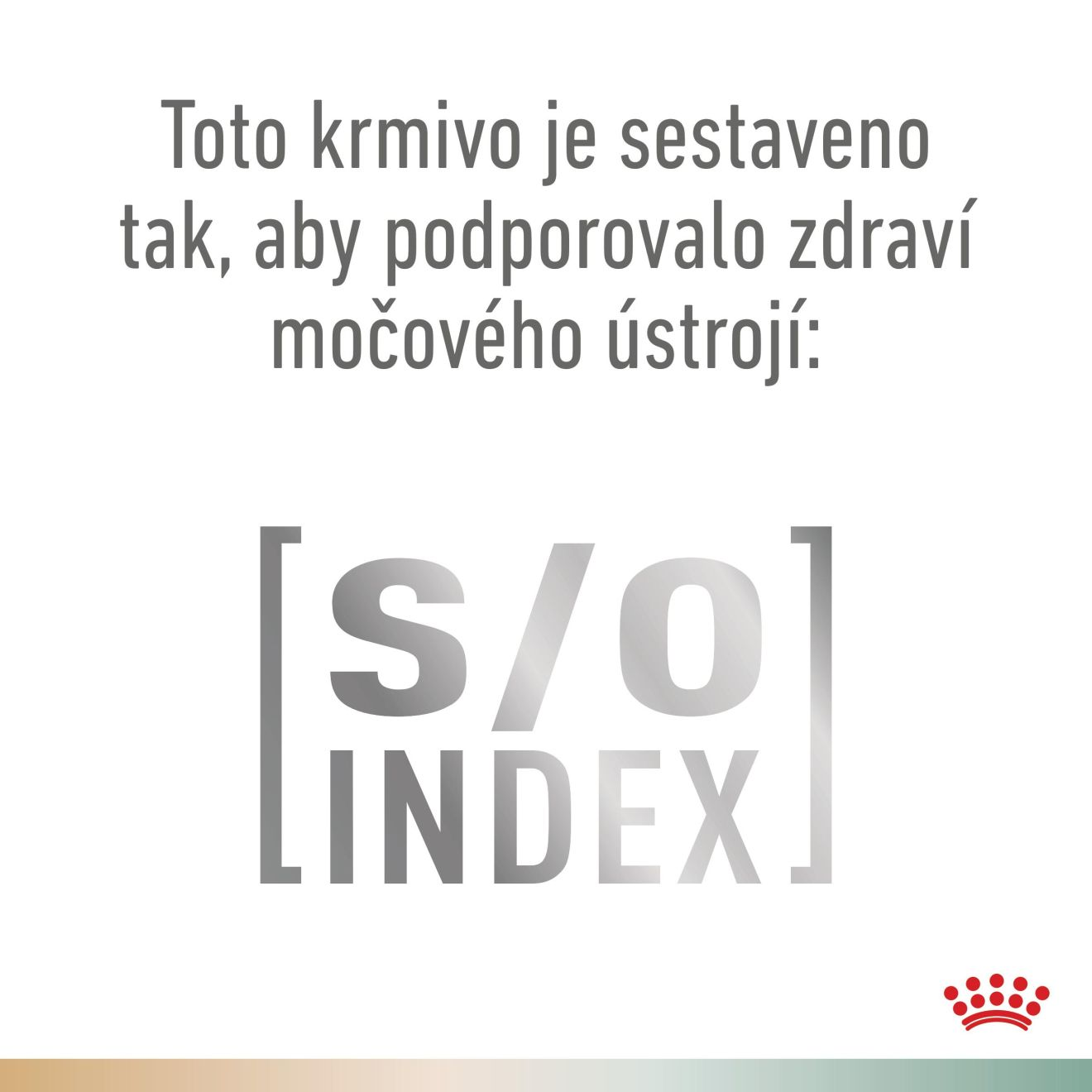VHN Dog CA Urinary S/O - Satiety Small