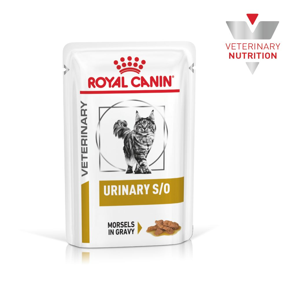 royal canin morsels in gravy