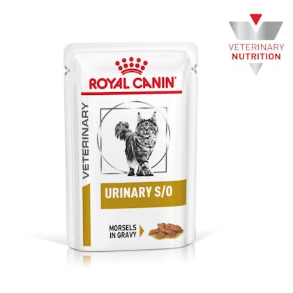 Royal canin urinary 2025 so cat food canada